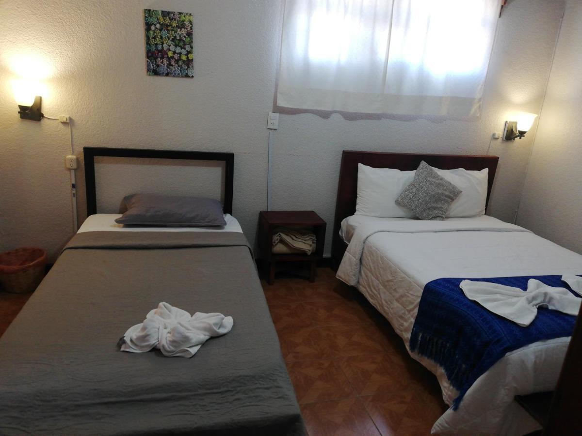 HOTEL SAN AGUSTÍN SAN CRISTÓBAL DE LAS CASAS 3* (México) - desde 296 MXN |  BOOKED